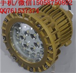 LED防爆应急照明灯