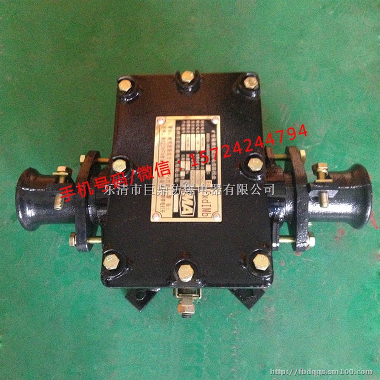 BHD2-100/660-2G矿用低压电缆接线盒