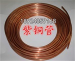 进口紫铜棒C1100 T2/T3紫铜板紫铜盘管