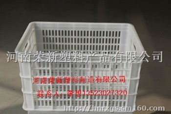 宿迁塑料筐 宿迁周转筐 宿迁蔬菜筐 宿迁水果筐