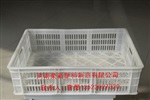 扬州水果筐 扬州香蕉筐 扬州苹果筐 扬州芒果筐 现