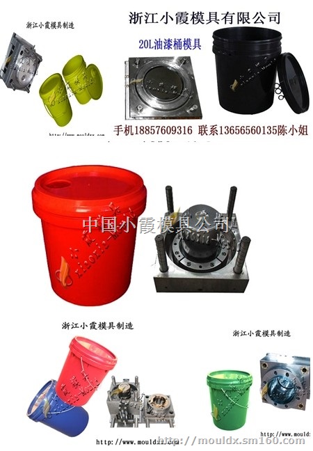 台州模具有限公司 17L八角密封桶注射模具制造