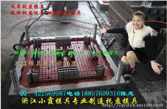 专做1.2米塑胶叉车插钢管托盘模具供应商