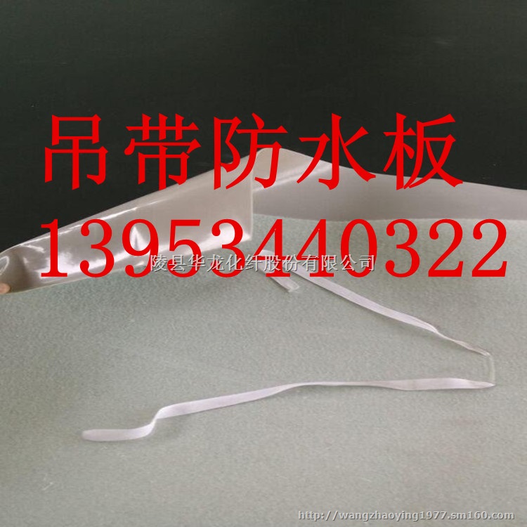 浙江温州隧道1.0mm阻燃防水板厂家