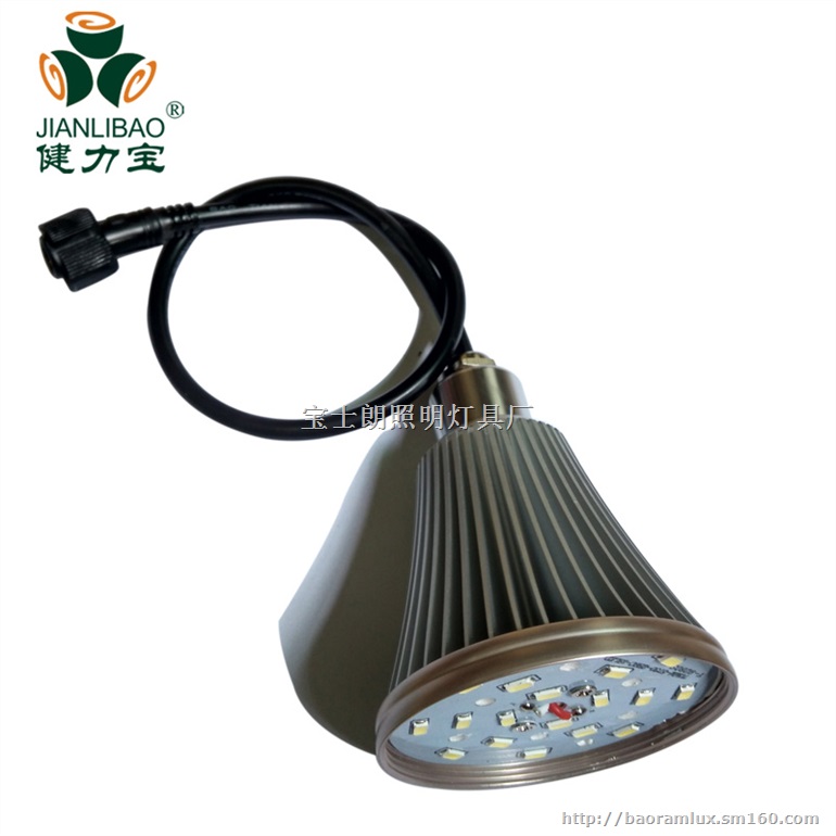 LED低压灯泡船厂工作灯泡汽车修理厂LED灯泡