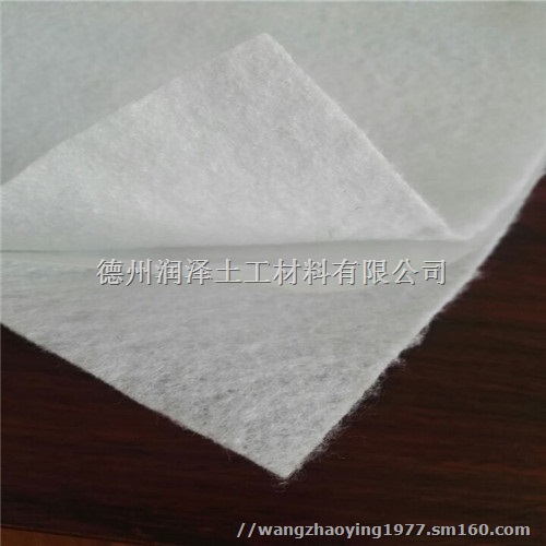 湖南益阳河道防渗800克两布一膜价格