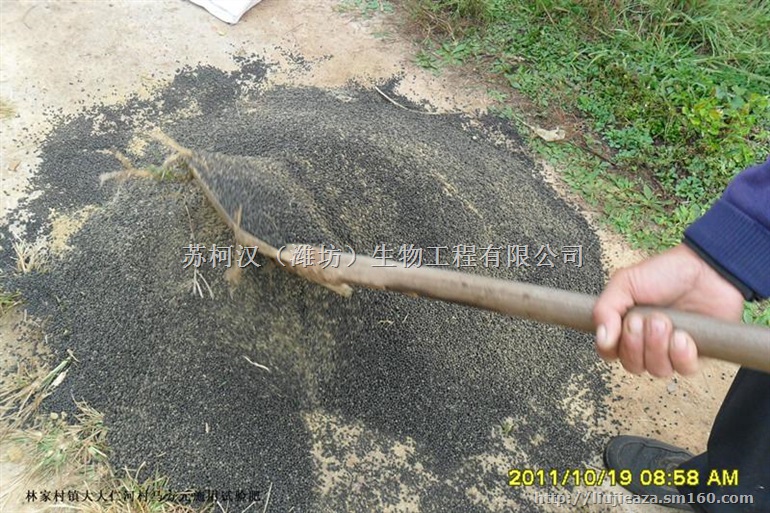 猪粪有机肥发酵剂