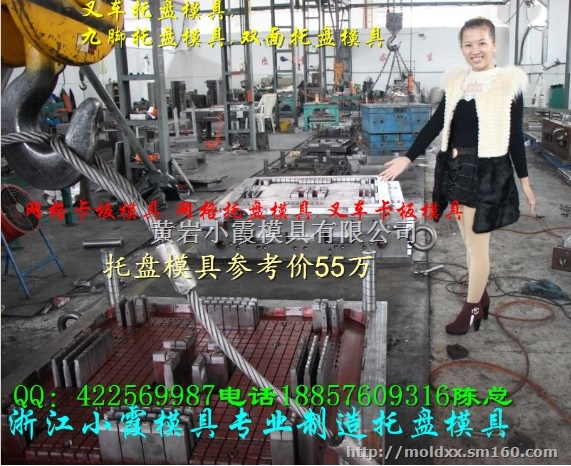 0.5吨新开塑料地台板模具 0.5吨新开仓板塑胶模