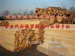 朝阳杨木,杨木加工 松木方木 垫方口料加工批发