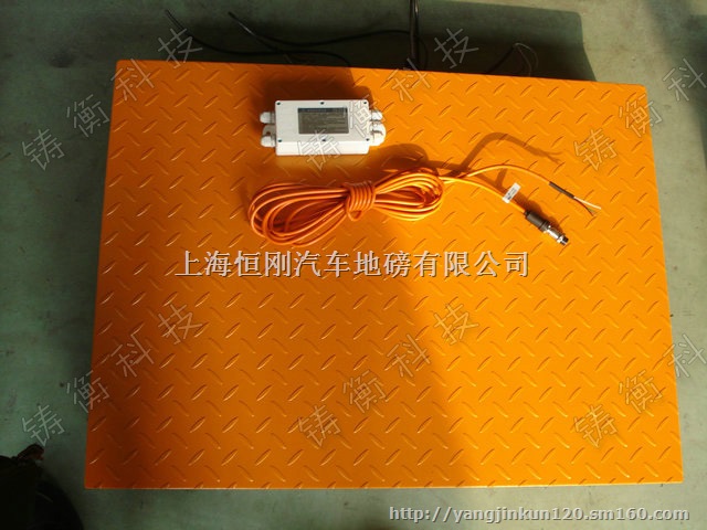 2T开关量信号输出电子地蹦秤尺寸