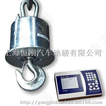 珠海冶金连接电脑电子吊钩称