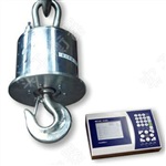 珠海冶金连接电脑电子吊钩称