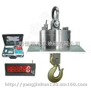 篮箭直视耐高温吊磅称市场价格