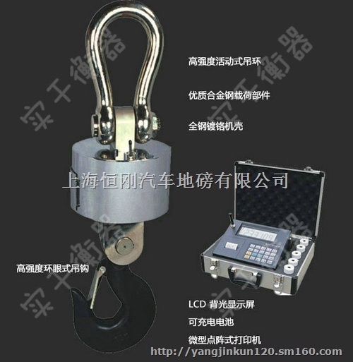 篮箭直视耐高温吊磅称市场价格