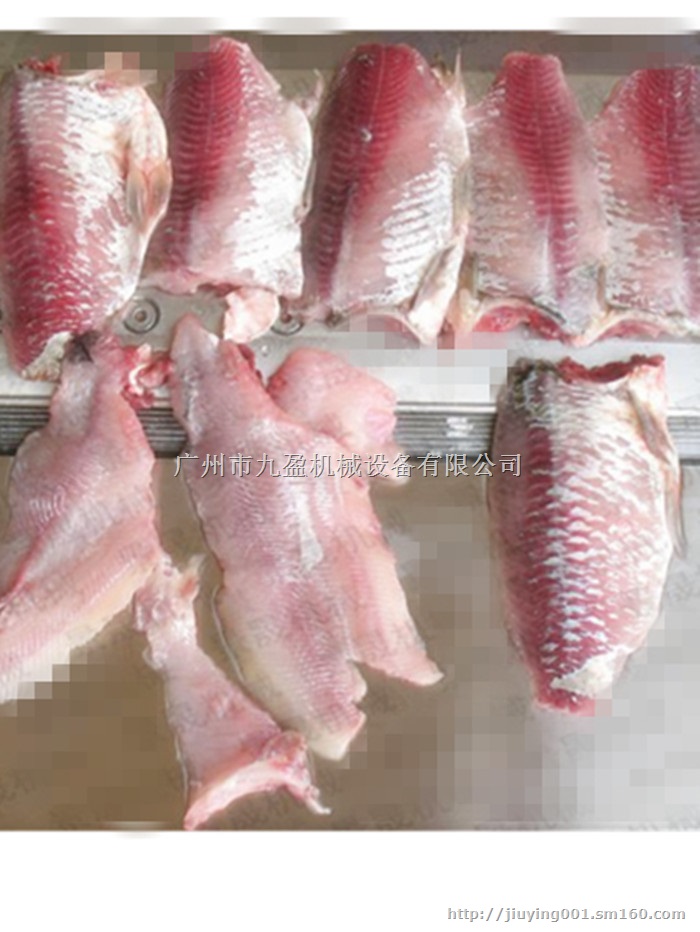 广东落地式大型去鱼皮，鱿鱼福寿鱼剥皮机，草鱼鳕鱼削