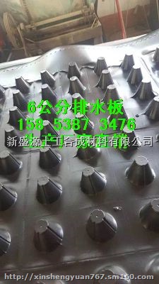 H25蓄排水板晋城屋顶绿化排水板
