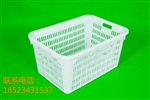 带盖周转筐 湖北周转筐 赛普供应商