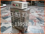 臭氧发生器 挂壁式臭氧 臭氧发生器厂家