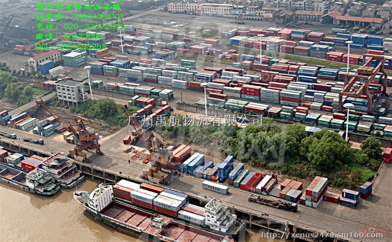 青岛内贸海运集装箱/内贸集装箱海运/物流运输/啤酒