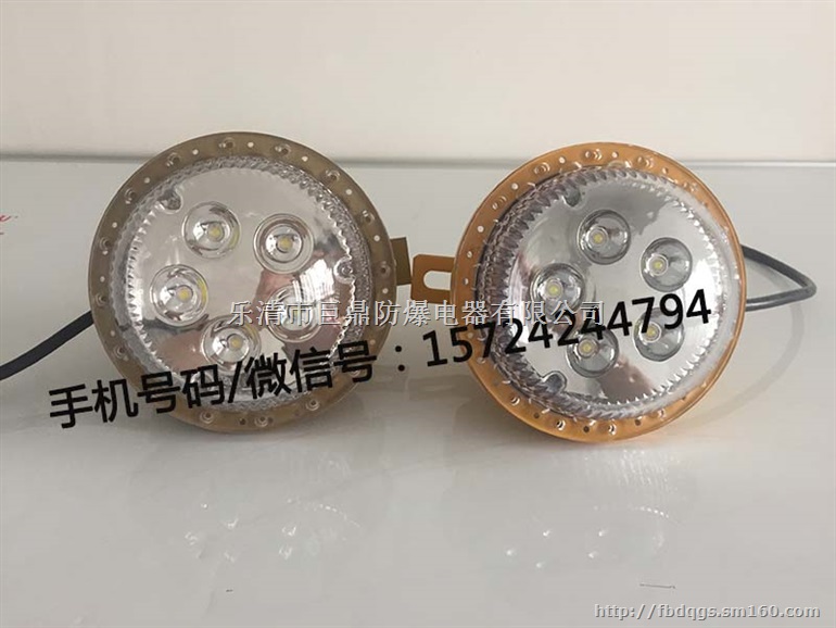 5W12V固态免维护照明灯 LED防爆灯