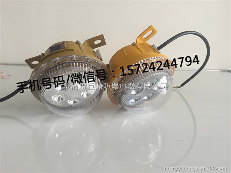 5W12V固态免维护照明灯 LED防爆灯