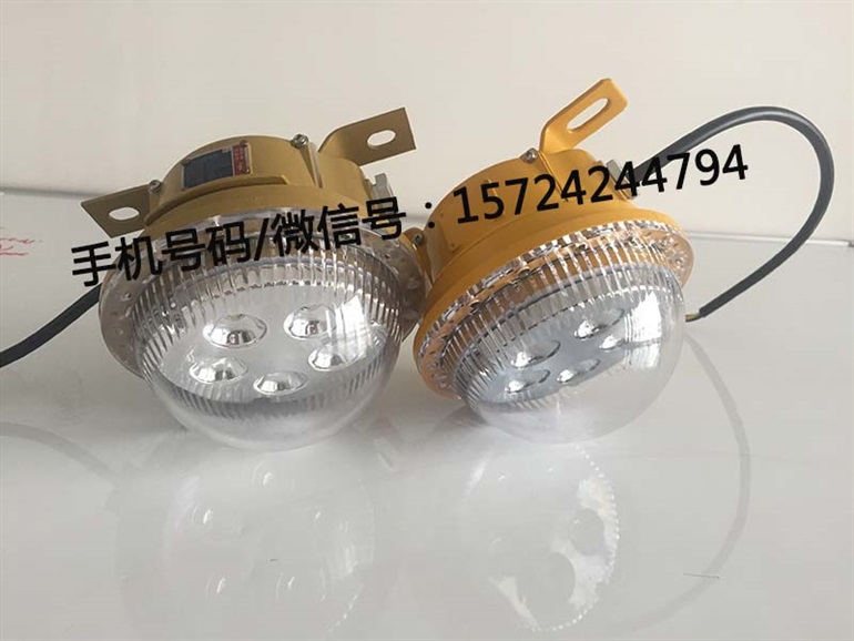 5W24V固态免维护照明灯 LED防爆灯