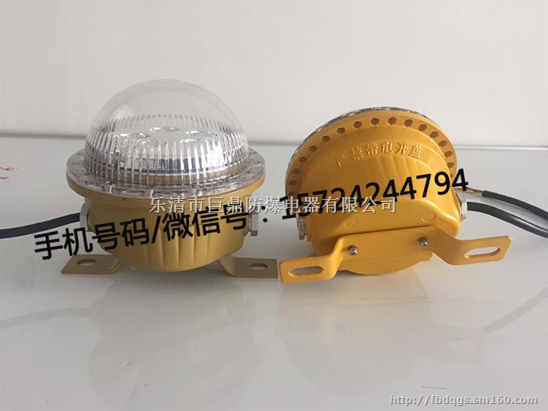 5W36V固态免维护照明灯 LED防爆灯