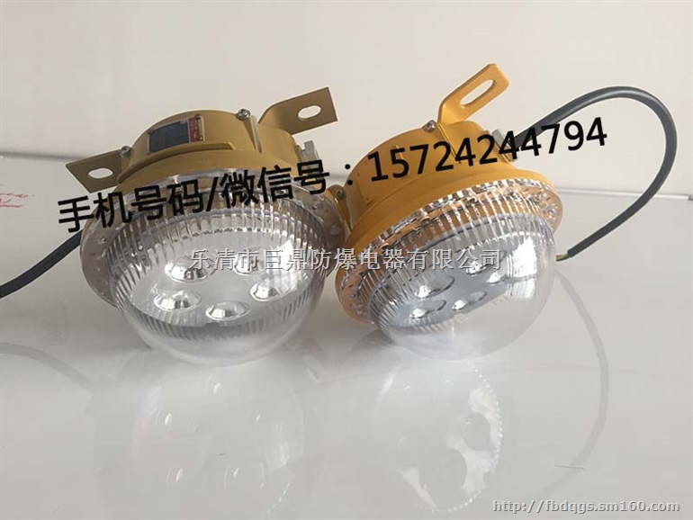 5W36V固态免维护照明灯 LED防爆灯
