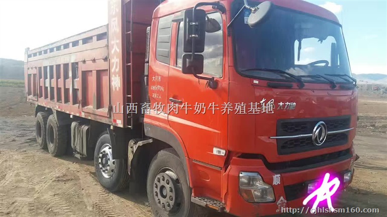 二手东风大力神290马力前四后八自卸车