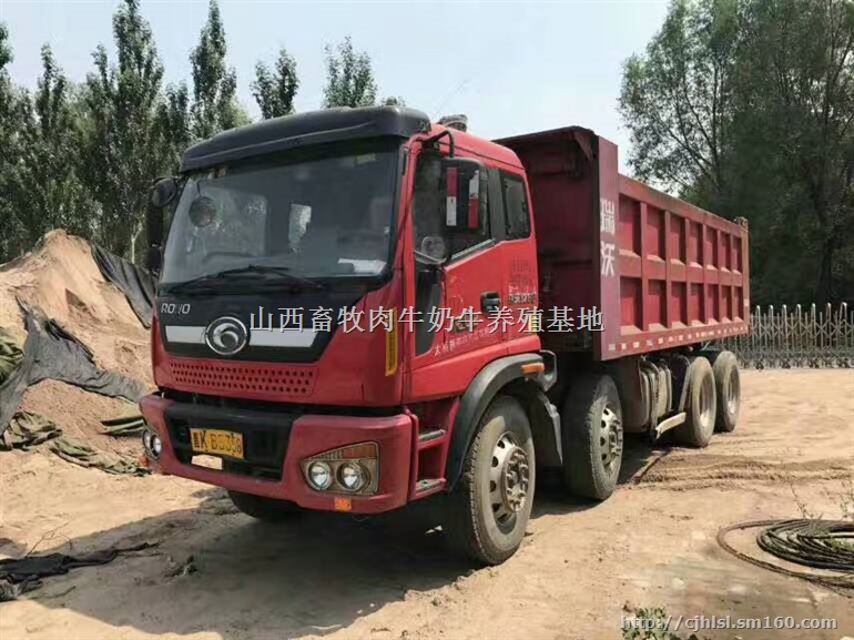 二手瑞沃6米轻皮前四后八自卸车