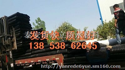 许昌3米宽卷状排水板（可定制规格）屋面种植排水板