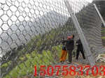RXI-200被动防护网,RXI-200被动网