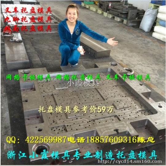 定做黄岩塑胶模具0.5吨叉车注射托板模具公司
