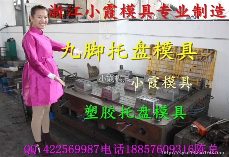 大型中国塑料模具两面进叉叉车仓板塑料模具加工