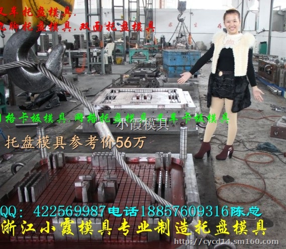 供应中国注射模具两面进叉叉车塑胶托板模具价格