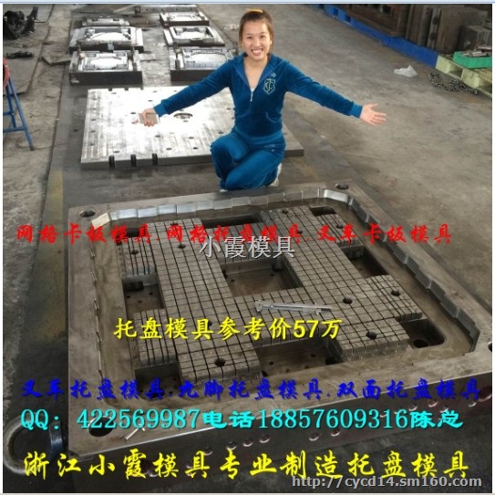 专业生产中国塑胶模具物流塑料卡板模具厂家