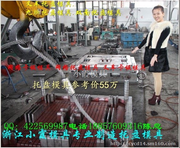 专业制造注塑模具厂家物流栈板塑胶模具制造