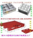 专业制造注塑模具厂家物流栈板塑胶模具制造