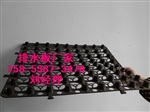南充30高蓄排水板幅宽2米排水板供应
