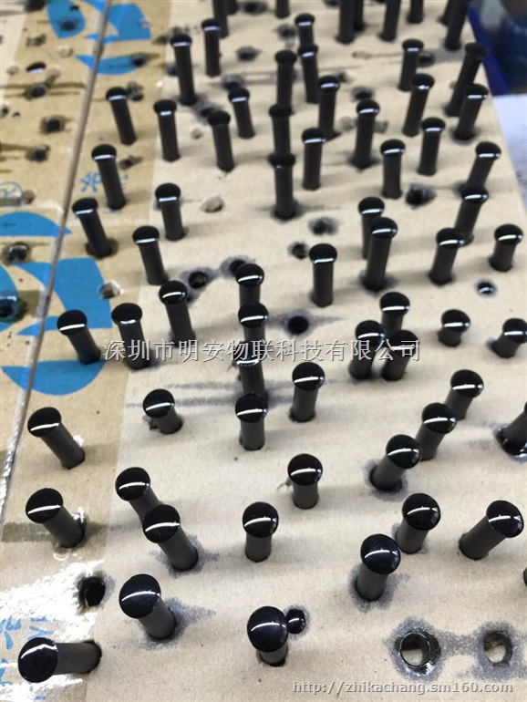 专业销售 rfid园林管理标签 结实耐用钉子标签