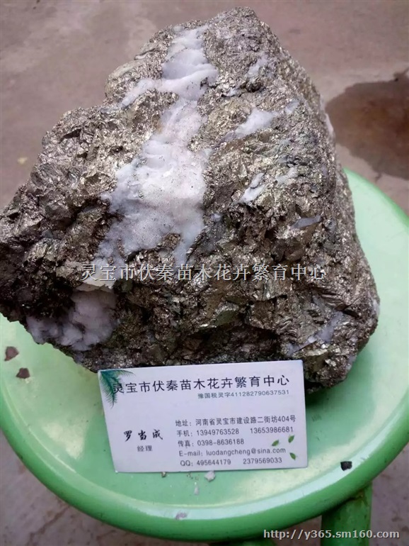 供应金矿石50吨