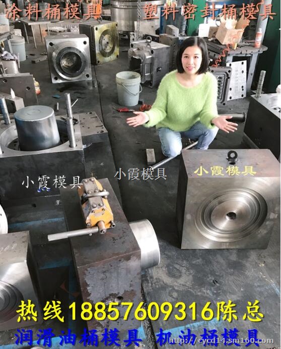 注射模具塑胶桶模具 HDPE润滑油桶模具