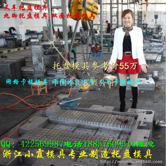 托盘模具 托板模具 地板模具  栈板模具 卡板模具