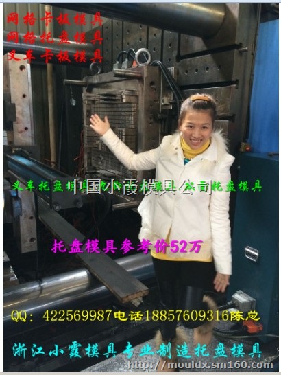 塑胶模具 田字卡板模具 PP田字防潮板模具