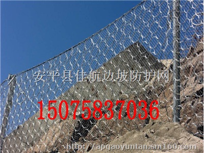 被动环形网，环形网，环形被动网，圆环网