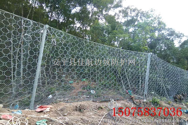 被动环形网，环形网，环形被动网，圆环网