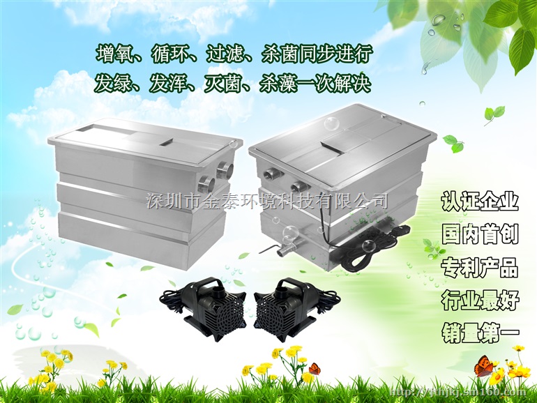 深圳专业设备别墅景观假山 庭院?锦鲤鱼池过滤系统