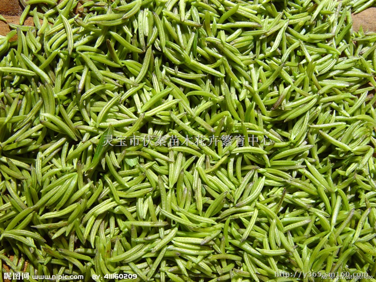 供应杜仲雄花茶2000公斤