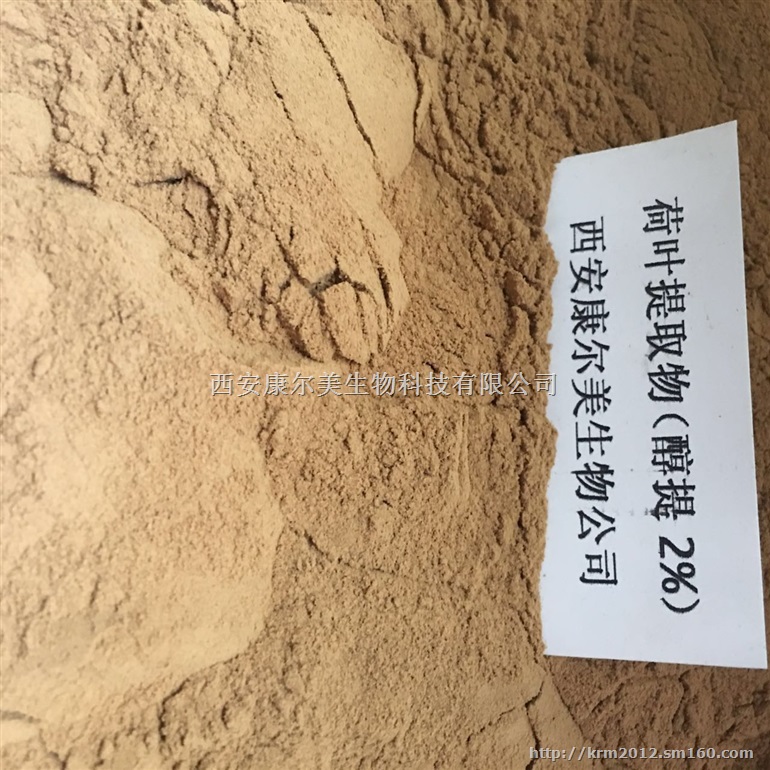 荷叶提取物西安康尔美生物现货低价销售