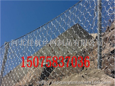 直销RXI-075被动防护网RXI-075被动网
